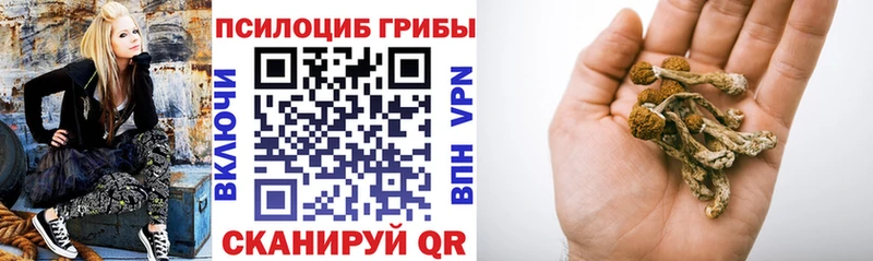 Псилоцибиновые грибы ЛСД  где можно купить   Медвежьегорск 